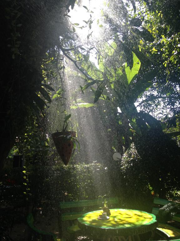 Baan Bua Guest House Chiang Rai Dış mekan fotoğraf