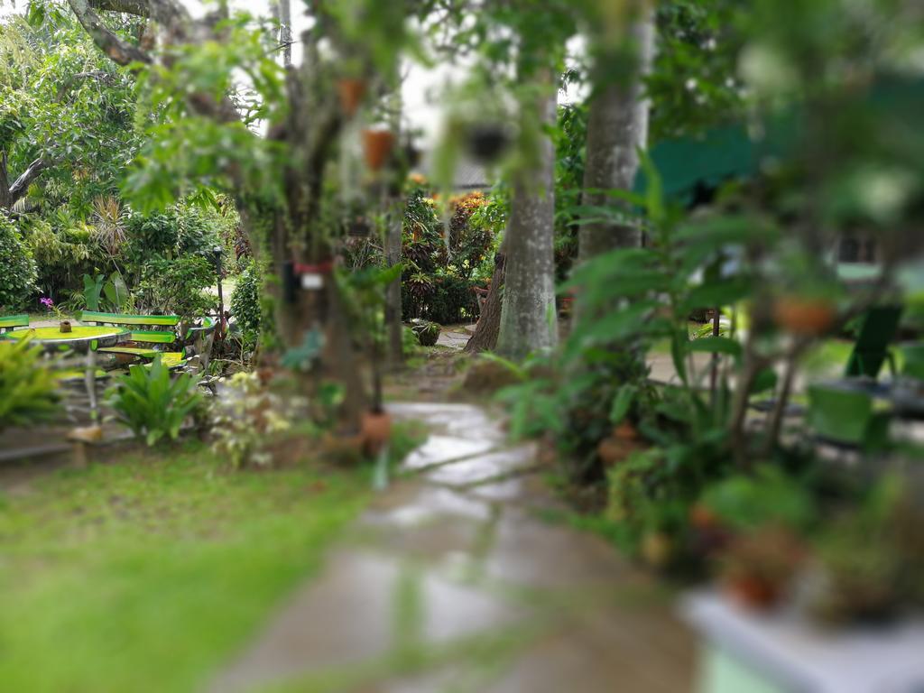 Baan Bua Guest House Chiang Rai Dış mekan fotoğraf