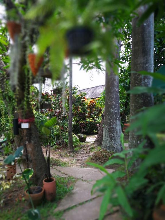 Baan Bua Guest House Chiang Rai Dış mekan fotoğraf