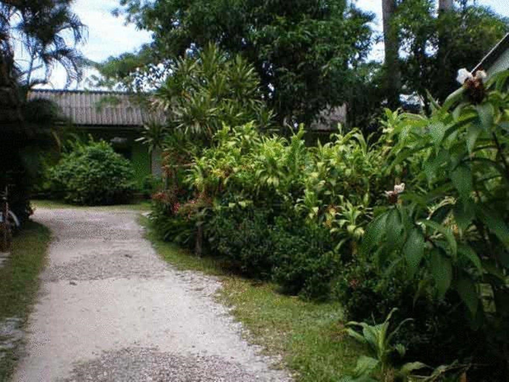 Baan Bua Guest House Chiang Rai Dış mekan fotoğraf